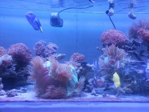 20120906_122805.jpg