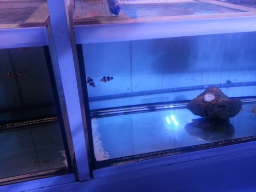 20120906_122810.jpg