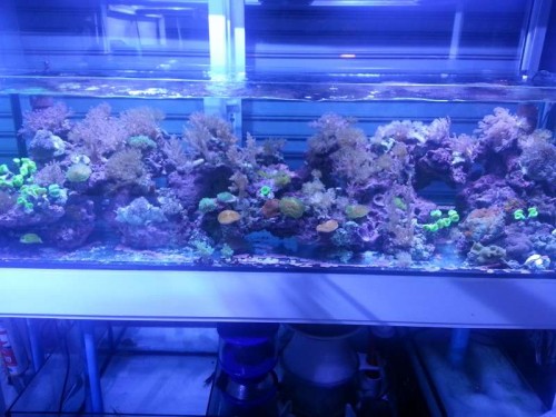 20120906_122827.jpg