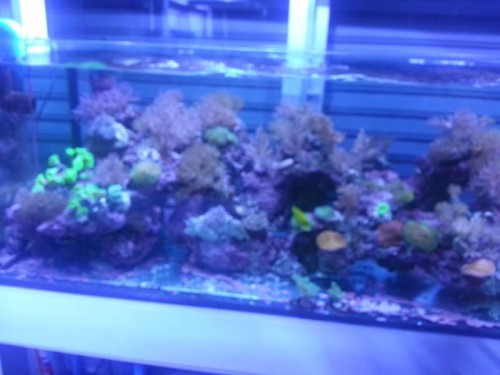 20120906_122920.jpg