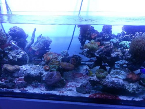20120906_122934.jpg