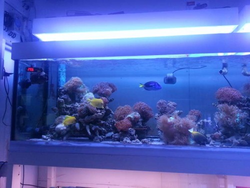 20120906_122940.jpg