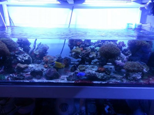 20120906_122952.jpg