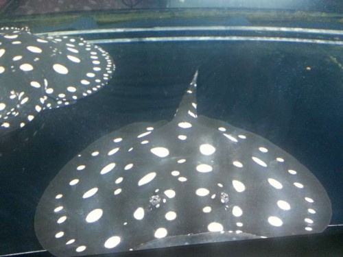 20120906_123106.jpg