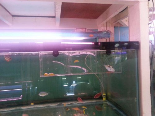 20120906_124411.jpg