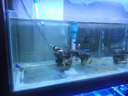 20120906_131813.jpg