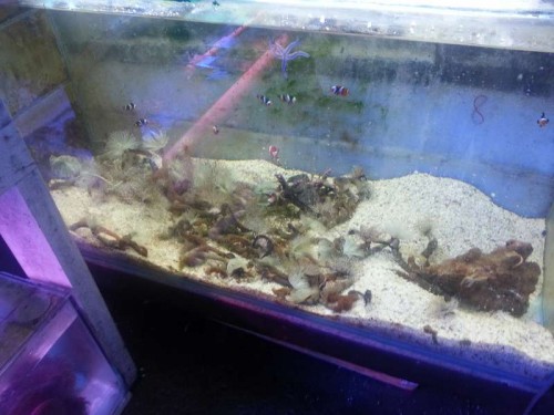 20120906_131831.jpg