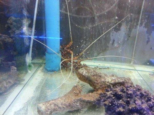 20120906_131844.jpg