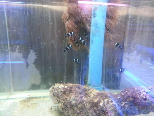 20120906_131847.jpg