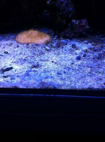 Find holger (: