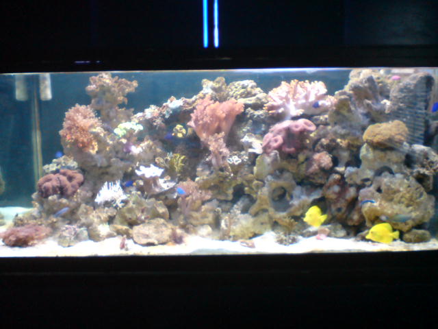 560 l