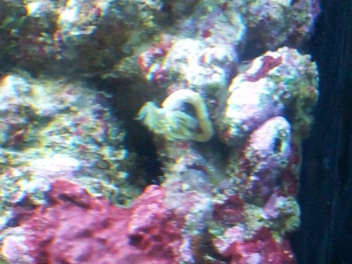 20120910_194926.jpg