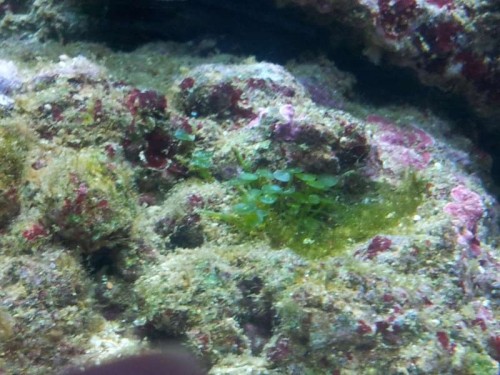 20120910_194802.jpg