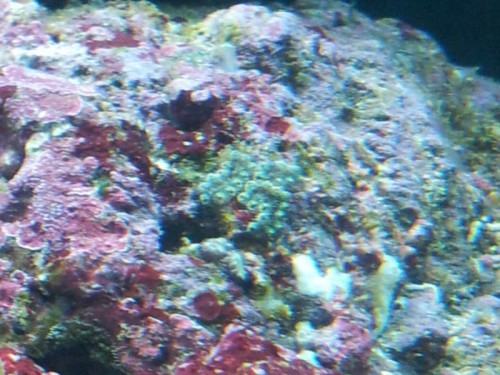 20120910_194854.jpg