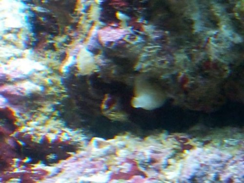 20120910_195007.jpg