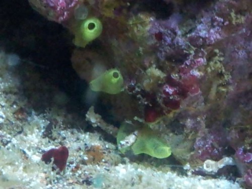 20120910_195041.jpg