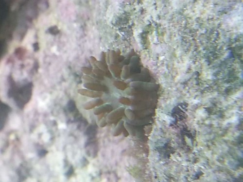 20120912_161202.jpg