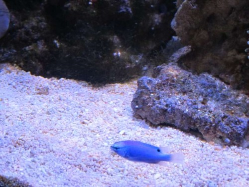 IMG_0453.JPG