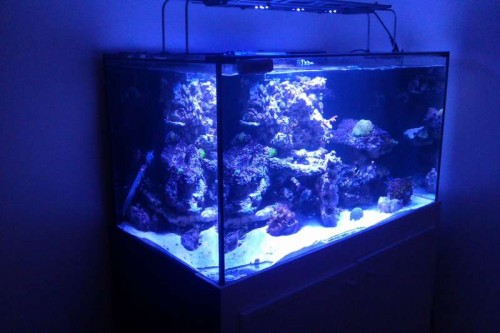 IMAG0020.jpg