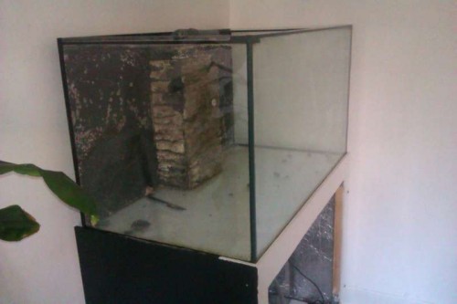 IMAG0008.jpg