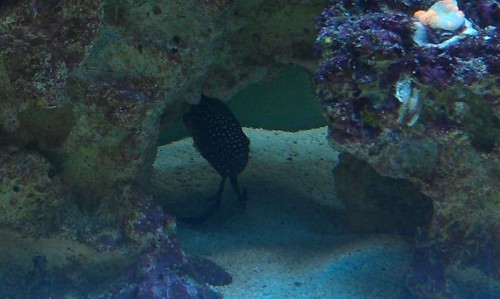 IMAG0465.jpg