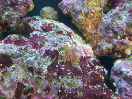 20120917_170153.jpg