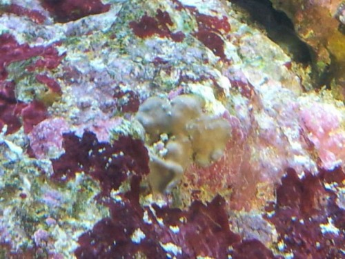20120917_170110.jpg