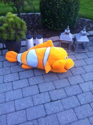 nemo.JPG