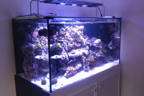 IMAG0041.jpg