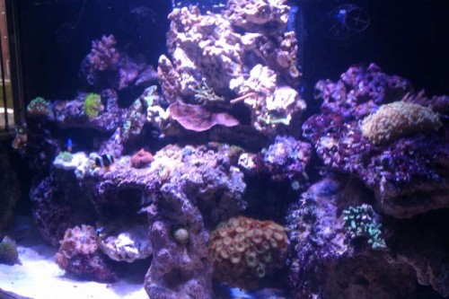 IMAG0043.jpg
