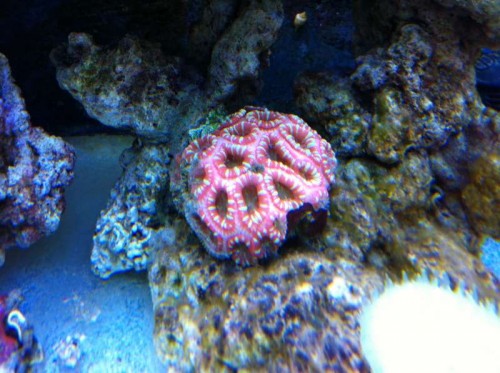 IMG_0460.jpg