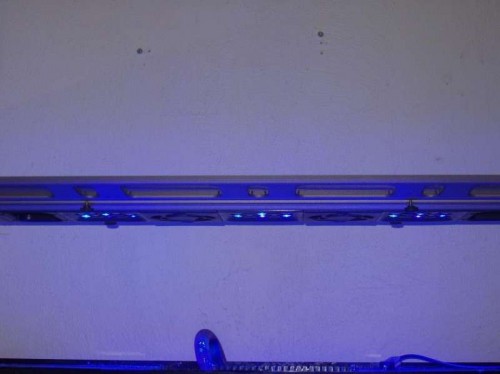maxspect.jpg