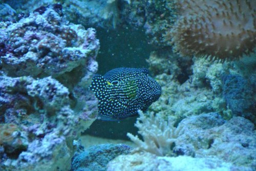 DSC_0103.JPG