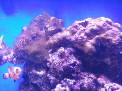 20120928_142024.jpg