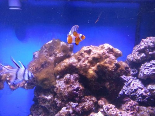20120928_142004.jpg
