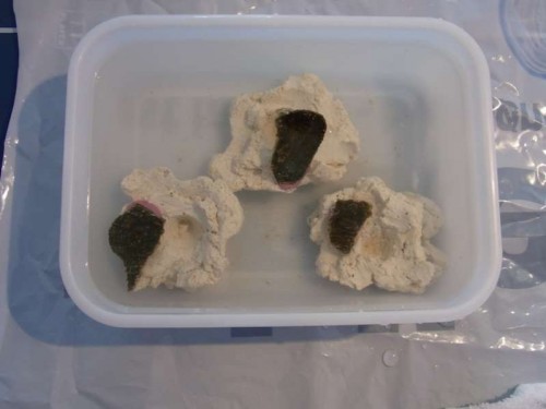 5.JPG (26.49 KiB) Vist 2349 gange Limet på fragmentsten med blød, hurtigtørrende koralklæber.