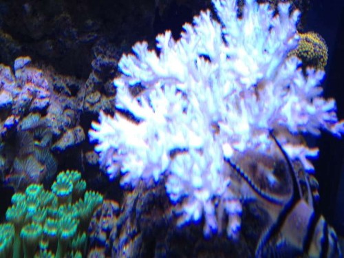 sep 2012 052.jpg