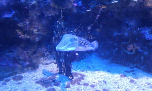 IMAG0509.jpg