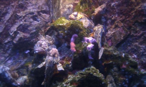 IMAG0535.jpg