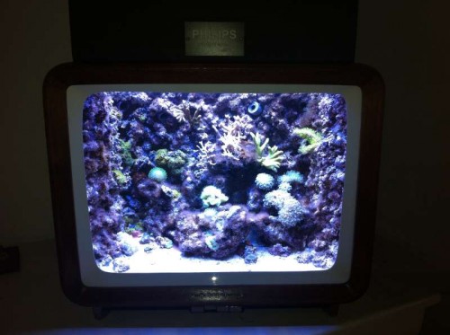 Akvarium.JPG