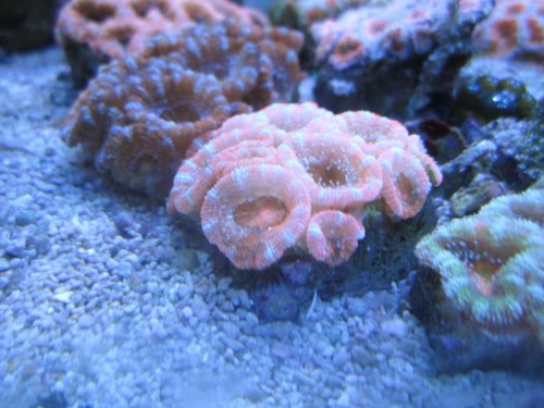IMG_4833.JPG