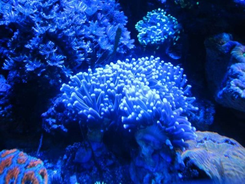 IMG_4896.JPG