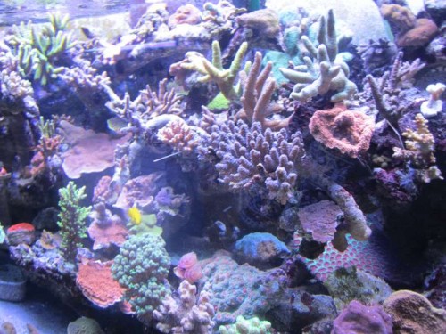 IMG_4910.JPG