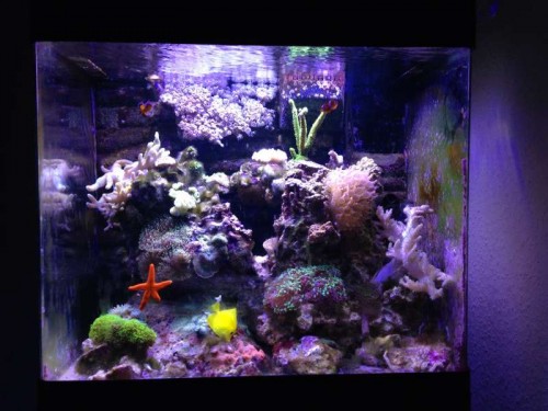 FTS.JPG