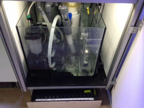 Sump.JPG