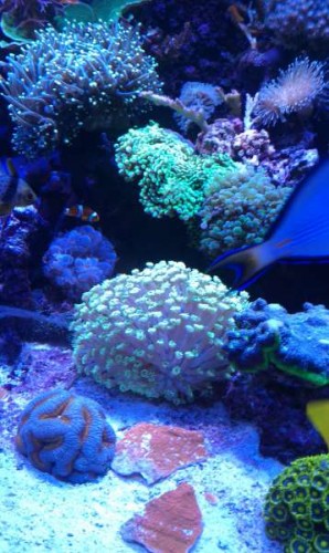 IMAG0133.jpg