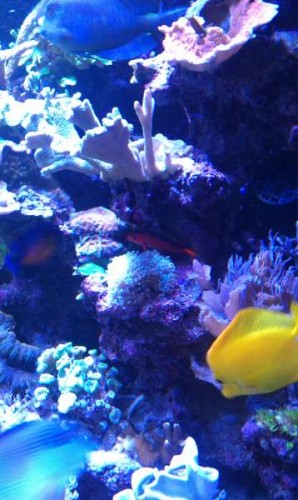 IMAG0118.jpg