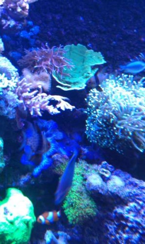 IMAG0117.jpg