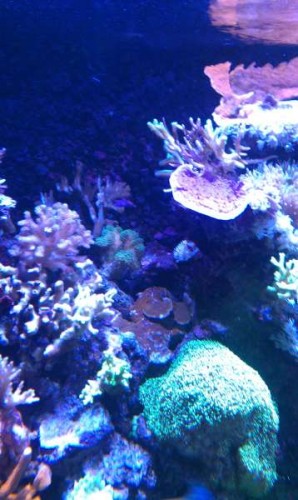 IMAG0116.jpg
