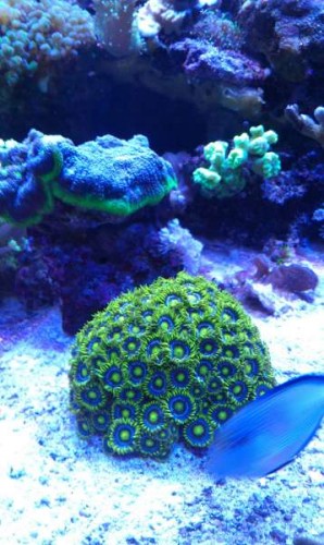 IMAG0112.jpg